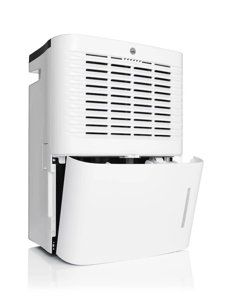 Dry l - Image 4